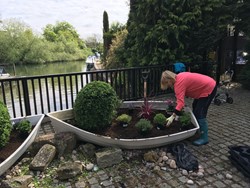 Boat planting 7 May 2.jpg